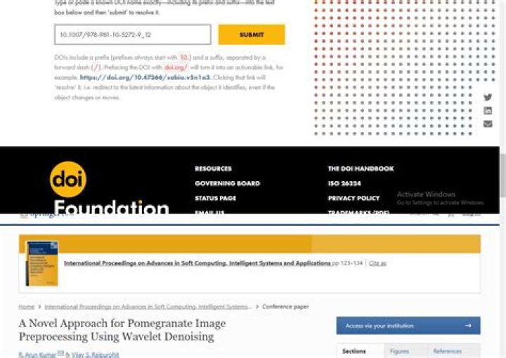 Why is a DOI important to a researcher?