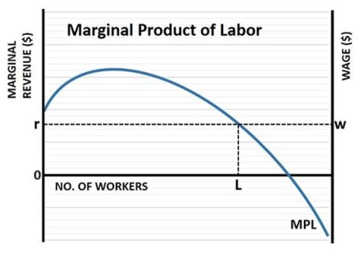 Why might the marginal product of labor rise as more workers are hired by a firm?