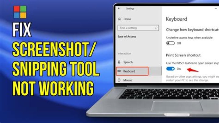 Why my screenshot is not working?