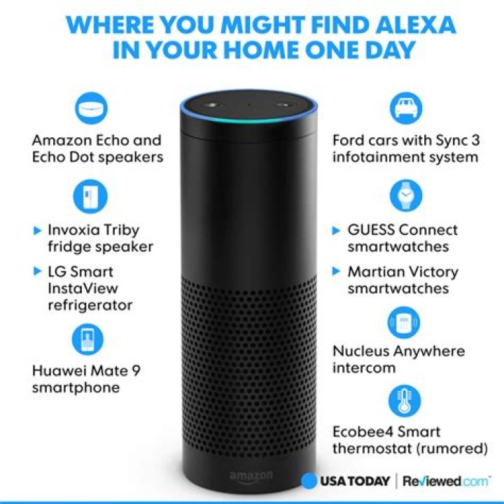 Why You Need Alexa in Your Home And Your Life?